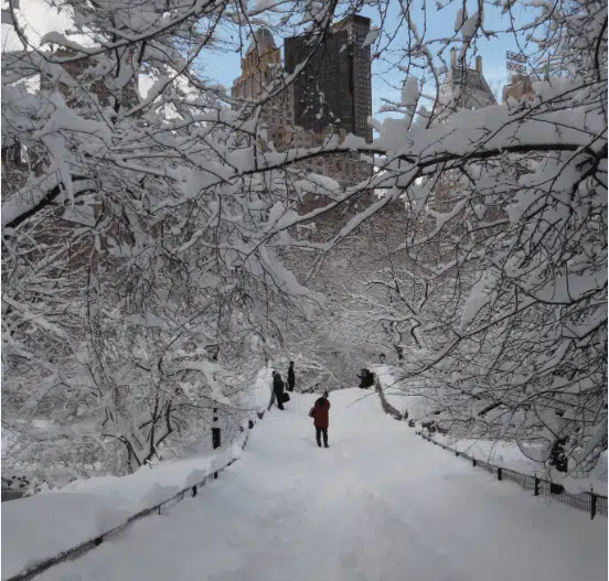 The Winter Blues - Seasonal Affective Disorders